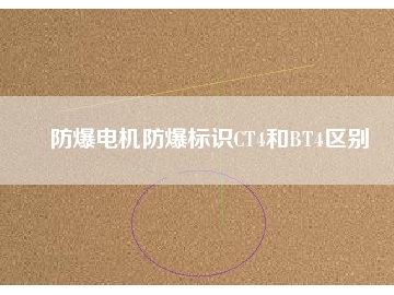 防爆電機防爆標識CT4和BT4區別