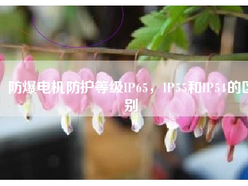 防爆電機防護等級IP65，IP55和IP54的區別