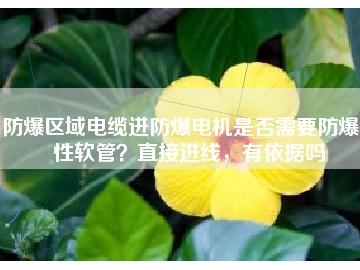 防爆區域電纜進防爆電機是否需要防爆撓性軟管？直接進線，有依據嗎