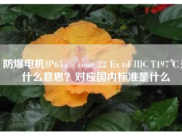 防爆電機IP65， zone 22 Ex td IIIC T197℃是什么意思？對應國內(nèi)標準是什么