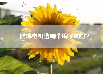 防爆電機(jī)選哪個牌子的好？