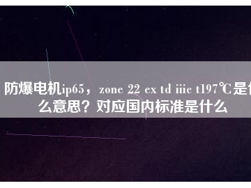 防爆電機ip65，zone 22 ex td iiic t197℃是什么意思？對應國內(nèi)標準是什么