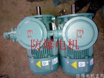 防爆電機(jī)分類：防爆電機(jī)選型、參數(shù)、定義