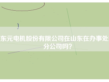 東元電機股份有限公司在山東在辦事處或分公司嗎？