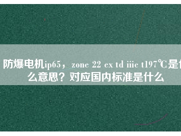 防爆電機ip65，zone 22 ex td iiic t197℃是什么意思？對應國內標準是什么