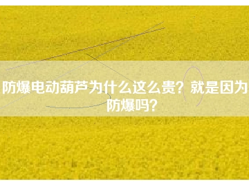 防爆電動葫蘆為什么這么貴？就是因為能防爆嗎？