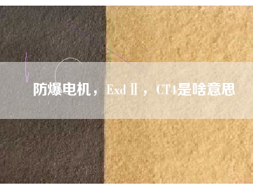 防爆電機，ExdⅡ，CT4是啥意思