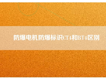 防爆電機防爆標識CT4和BT4區別