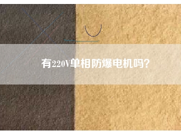 有220V單相防爆電機嗎？