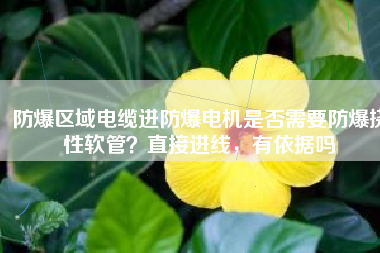防爆區(qū)域電纜進防爆電機是否需要防爆撓性軟管？直接進線，有依據嗎