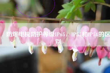 防爆電機防護等級IP65，IP55和IP54的區(qū)別