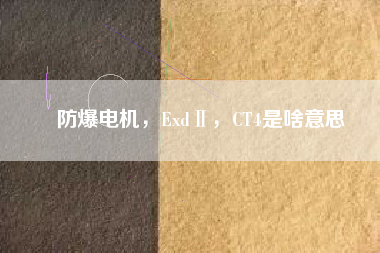 防爆電機，ExdⅡ，CT4是啥意思