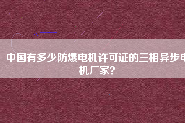 中國有多少防爆電機許可證的三相異步電機廠家？