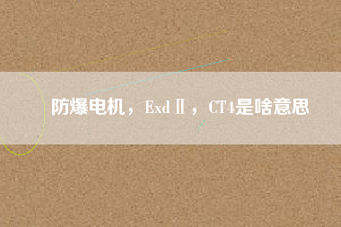 防爆電機(jī)，ExdⅡ，CT4是啥意思