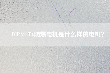 DIPA21T4防爆電機是什么樣的電機？